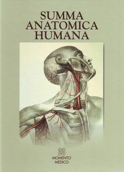 Summa anatomica humana